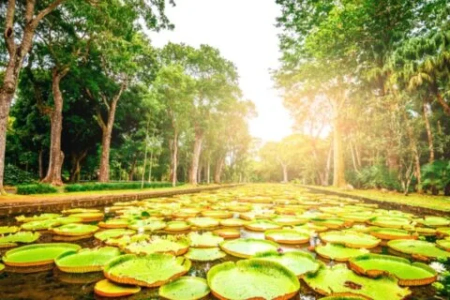 Mauritius Tour Package