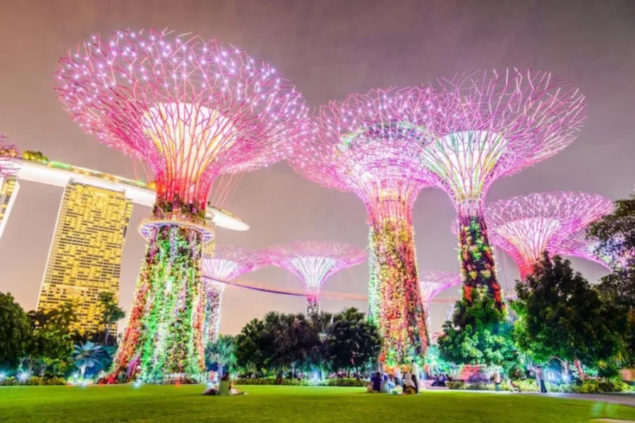 Singapore Tour Package